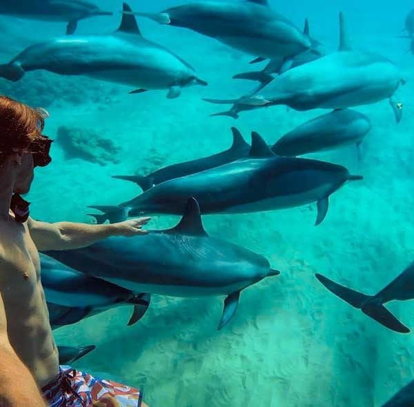 Hurghada dolphin house