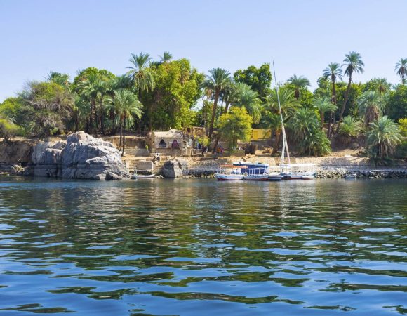 Botanical Garden in Aswan